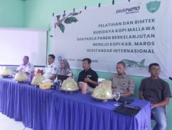 Pengembangan Kopi Mallawa, Pemkab Maros Anggarkan Rp1 Miliar