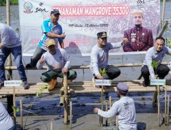 Tanam 35.300 Batang Mangrove, Gubernur Sulsel: Tanam Satu Pohon, Selamatkan Ribuan Makhluk Hidup