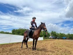 Putra Bupati Maros Raih Medali Emas Dalam Eksebisi Berkuda Memanah