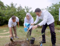 PLN Tanam 200 Pohon, Bupati Barru: Terima Kasih untuk Peduli Lingkungan