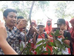 Murid SD Monginsidi 1 Belajar Mencangkok di Kebun Bosowa