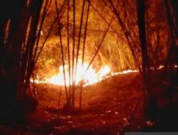 BMKG Mendeteksi 18 Titik Panas di Kaltim, Waspada Munculnya Api Picu Kebakaran