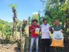 Desa Lamoncong Dapat Bantuan Bibit Jagung Hibrida dari Kementan