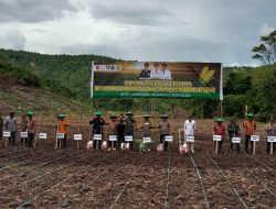 Hadiri Penanaman Jagung Perdana di Desa Lamoncong, Andi Asman Sulaiman: Segera Ajukan Permohonan Bantuan