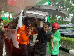Pohon Tumbang Menimpa Warung Bakso di Makassar, 5 Korban Dilarikan ke Rumah Sakit