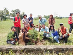 PT Vale Edukasi Pentingnya Menanam Pohon ke Pelajar Loeha, Bantu 200 Bibit
