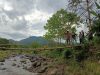 Pengganti Jembatan Bambu Segera Dibangun Pemda, Kades Songing: Penantian Panjang Kami Bakal Terwujud