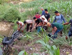 Motor Terjung ke Jurang Saat Pulang Kerja, Kapolsek Ponre Kabupaten Bone Meninggal Dunia