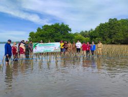 Aksi Peduli Lingkungan dan Masyarakat Pesisir, DKP Provinsi Sulsel Tanam Mangrove di Pesisir Jeneponto dan Bulukumba