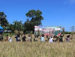 Pj Bupati Takalar Hadiri Panen Perdana Padi Nusantara 1 Juta Hektar