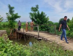 Pantau Jembatan Tani Yang Rusak, Wabup Maros Akan Lakukan Perbaikan