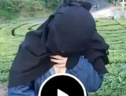 Polisi Selidiki Penyebar Video Porno di Kebun Teh Ciwidey Bandung