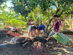 Relawan Milenial Sulawesi Selatan Berbagi Hewan Kurban di Kabupaten Gowa