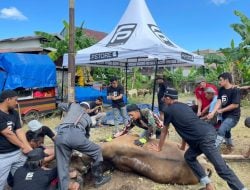 PS Store Makassar Kurban 8 Ekor, Dagingnya Dibagikan kepada Warga Sekitar Toko