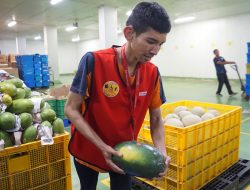 Bangun Fasilitas Ramah Disabilitas Alfamidi Berkomitmen Dorong Budaya Inklusi