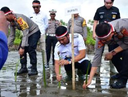 Bupati ASA Bersama Kapolres Tanam 1.000 Pohon Mangrove di Pantai Mallenreng Sinjai Timur