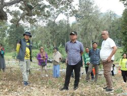 Sukseskan Budidaya Pisang, Penjabat Wali Kota Palopo Asrul Sani Turun Petakan Lahan di Sendana