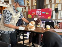 Sahabat Om Boer Suppport Makassar Pawrent Community Vaksinasi dan Pemeliharaan Kesehatan Hewan Gratis