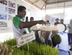 Wujudkan Petani Organik Berdaya, IGP Morowali Hadirkan Sekolah Lapang Organik