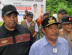 Ingin Sulsel Dikenal sebagai Provinsi Pisang dan Sukun, Bahtiar: Dipanggil Gubernur Pisang dan Sukun Tidak Apa-apa