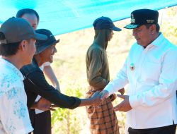 Desa Mattiro Walie Bontocani Bone Siapkan 1.000 Hektar Lahan, Pj Gubernur Bahtiar Salurkan Bibit Pisang 