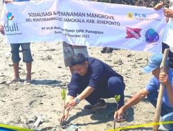 Tim CSR PLN NP UPK Punagaya Gelar Sosialisasi dan Penanaman Mangrove di Bontorannu