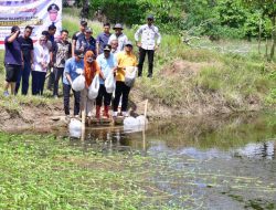 Kedua Kalinya, Pj Gubenur Bahtiar Tebar Ikan Nila di Bone