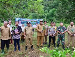 Setelah Rammang-rammang, Bantimurung Jadi Sasaran Program Budidaya Sukun