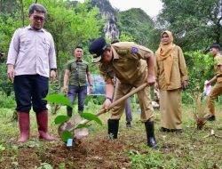 Bukan Hanya Rammang-rammang, Bantimurung Jadi Sasaran Program Budidaya Sukun Pj Gubernur Bahtiar 