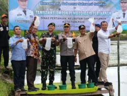 Pj Gubernur Sulsel Bersama Pj Walikota Parepare Tebar Benur Udang Vaname Di Tambak Kelompok Pembudidaya Ikan