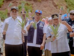 Sukses Panen Nenas di Barru, Pj Gubernur Sulsel Beri Apresisasi Pemkab Barru