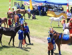 Rangkaian Peringatan Hari Jadi Jeneponto ke 161, Pemkab Gelar Kontes Kuda Lokal Jarang Patta’ba