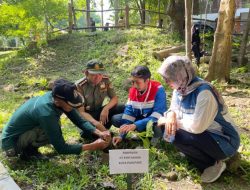 Pertamina Tanam 2500 Pohon di kebun Raya Jompie kota Parepare