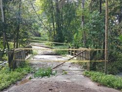 Dapat Informasi Jembatan di Desa Songing Sinjai Selatan Putus, Pj Bupati Sinjai Ambil Langkah Cepat