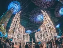 Wisata ke Gardens By The Bay Singapore? Ini Dia Berbagai Aktivitas yang Wajib Anda Lakukan