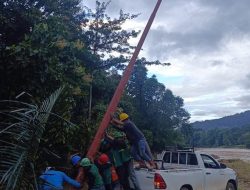 Lalui Berbagai Tantangan, Ini Kiprah Srikandi PLN dalam Memulihkan Pasokan Listrik di Kabupaten Luwu Akibat Bencana Longsor dan Banjir