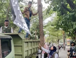 Bawaslu dan DLH Makassar Tertibkan AFK yang Terpasang di Pohon Sepanjang Jalan Andi Djemma dan Pettarani