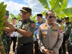 Solusi Pemanfaatan 4 Juta Hektare Lahan Tidur di Sulsel, Untungnya Tidak Main-main