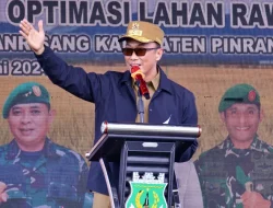 Sulsel Siap Jadi Pilot Project Pertanian Optimalisasi Lahan Rawa di Indonesia