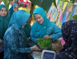 Ninuk Triyanti Zudan Apresiasi Inovasi Kelurahan Manggala Kota Makassar