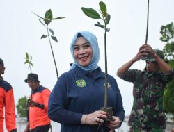 Pemkot Palopo Peringati Hari Lingkungan Hidup Sedunia