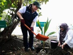 Program Inovasi Sosial Laa Waa River Park, PT Vale Teguhkan Komitmen Lingkungan Bersinergi Lestari