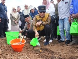 Gerakan Sulsel Menanam, Pj Gubernur Zudan Serahkan Bantuan Bibit Tanaman Hortikultura untuk Petani di Gowa