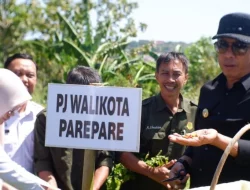 Fasilitasi Produk Pertanian dan Perikanan Kelompok Tani, Pemkot Parepare Hadirkan Pasar Tani