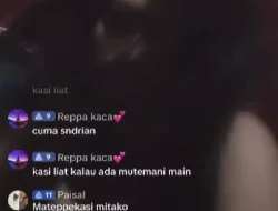 Video Pasutri di Sidrap Bugil Live di TikTok Memicu Reaksi Panik dan Keprihatinan