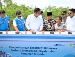 Terus Kembangkan Bahan Co-Firing Biomassa, PLN Bersama Kementan Luncurkan Model Pertanian Terpadu