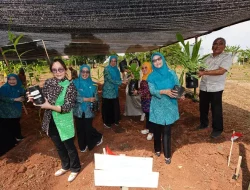 Pj Ketua TP PKK Sulsel Ninuk Triyanti Zudan Resmikan Taman Herbal Makassar