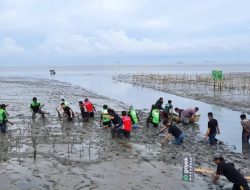 Muhammad Ramli Rahim: Penanaman Mangrove Salah Satu Program Prioritas Andi Sudirman Ketika Menjabat Gubernur