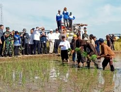 Mentan Amran Turun ke Sawah Tanam Padi Bersama Petani di Gowa