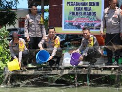 Dukung Program Asta Cita Presiden,Polres Maros Tebar Sepuluh Ribu Bibit Ikan